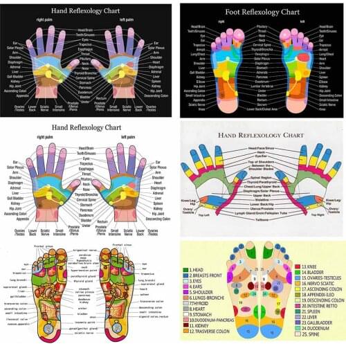 Hd More Style Reflexology Labeled Hand Chart Holistic Health Large Colour Canvas Painting Wall Art Posters And Prints Pictures