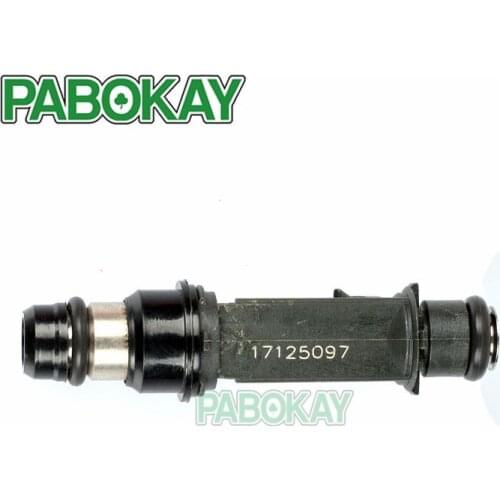 ForFS Petrol Fuel Injection Nozzle FJ10596 OEM 17125097 779059112