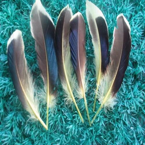 Wholesale 20 PCS/a lot of beautiful yellow duck feathers 4-6 inches / 10 to 15 cm clothing hat DIY decoration