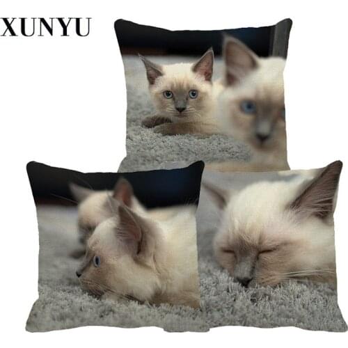 XUNYU 45x45cm Kids Room Decoration Cute Pet Cat Pillowcase Linen Cushion Cover for Sofa Home Decoration Pillowcase B006