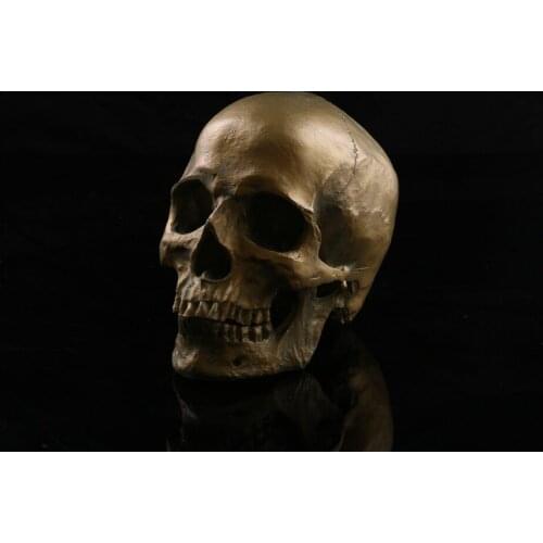 Halloween Personal decoration Antique copper Simulation resin Medical skull model 17*15*9cm free shipping