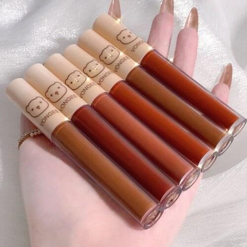 4Pcs/Set Waterproof Lipstick Sexy Vampire Lip Stick Matte Velvet Lipsticks Lips Makeup Lip Tint Labiales Cosmetic Kit TSLM1