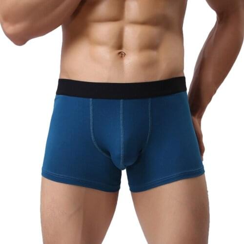 Men Boxer Underwear Shorts Breathable Quick Dry Boxer Gay Underwear Cotton Cueca Men Panties Homme Boxershorts Gifts for Men