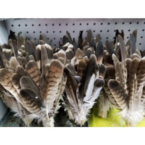 Wholesale high quality 100pcs Scarce natural eagle feather 15-28cm / 6-12inch various decorative diy collect