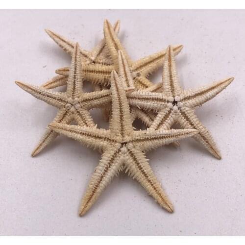 Size 4-5cm 20pcs Natural Starfish Seashell Beach Craft Natural Sea Stars DIY Beach Wedding Decoration Crafts Home Decor Epoxy