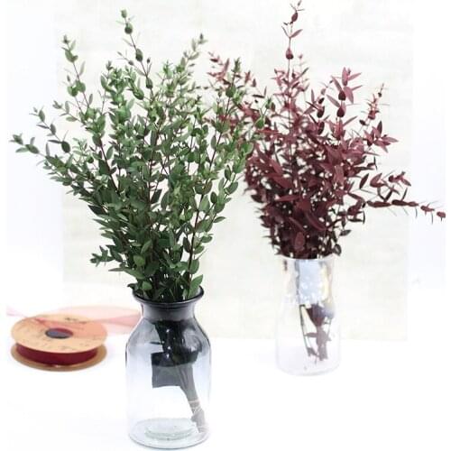 10pcs Eucalyptus Leaf Copper Coin Long-Term Rounded Natural Preserved Dried Flower Photograph Home Bookroom Garden Decoration