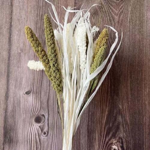 20PCS/Flower Ear 6~10CM Real Natural Dry Plant Millet Spike Bouquet,Decorative Flowers Millet Rice,Home Decor,wedding Decoration