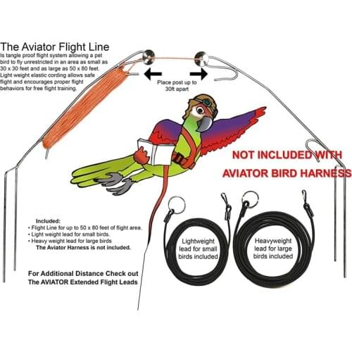 LBER Pet Bird Harness and Leash,Adjustable Parrot Bird Harness Leash - Pet Anti-Bite Training Rope Outdoor Flying Harness and Le