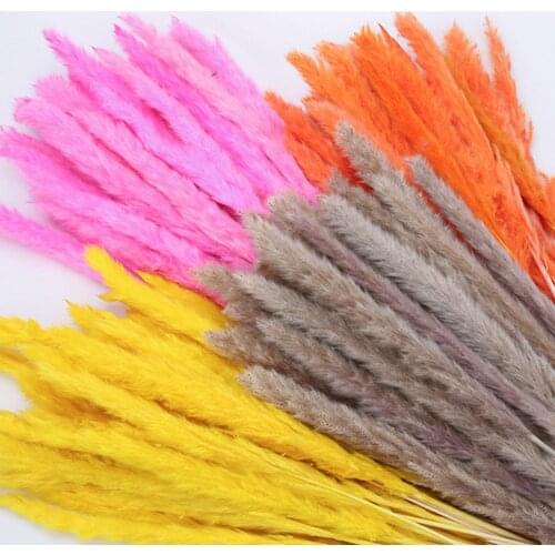 15pcs / Lot Natural Reed Dried Flowers Pampas Grass DIY Handmade ValentineS Day Wedding Party Home Decoration Bouquet Flower