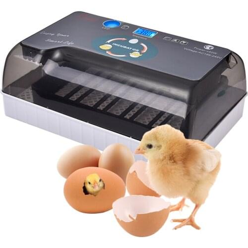 Aichongwu Products For Farm Animals