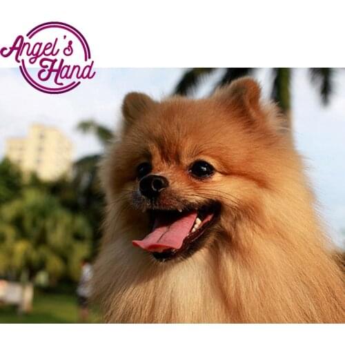 5d full diamond embroidery Pomeranian dog square diy diamond Painting diamond mosaic Needlework diamond picture home decor art