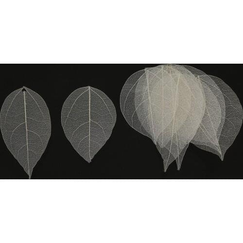 Pack of 10 Skeleton Leaves for DIY Cardmaking Scrapbooking Giftwrapping Decration Crafts - White, 4-9x2-5cm/1.6-3.6x0.8-2 inch