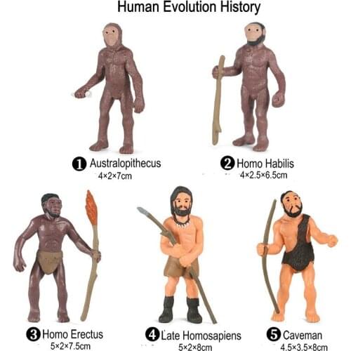 5pcs/Set Homo Erectus Action Figure Human Evolution History Solid PVC Mini Figurine Early Learning Educational Toys For Kids