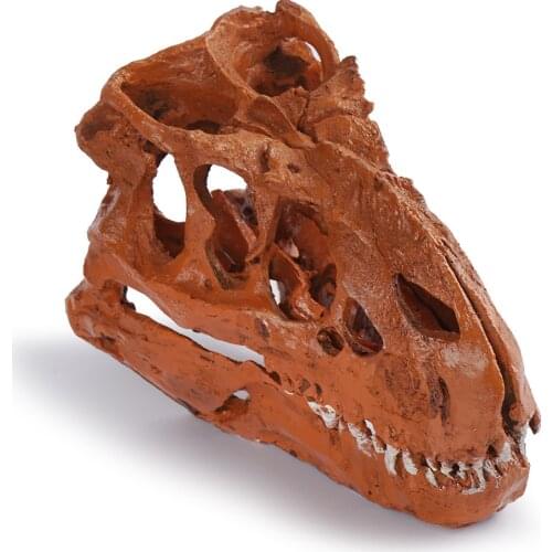 Tyrannosaurus Dinosaur Skull Model Animal Figure Collector Toys Xmas Gift Skull Fossil Teaching Skeleton Model Home Decor