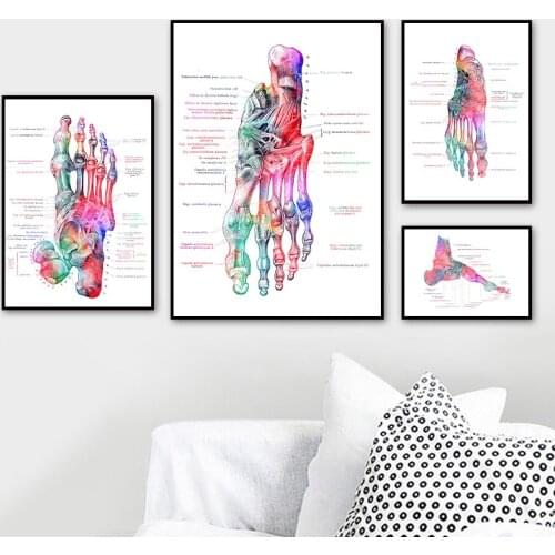 Colorful Skeleton Anatomy Poster Medicine Education Wall Art Canvas Painting Decor Pictures for Doctor Office Student Gift