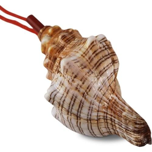 Natural Conch Horn Speaker Whistle Super Large Conch Shell Whistle Childrens Toy the Shell Trumpet decorations for home