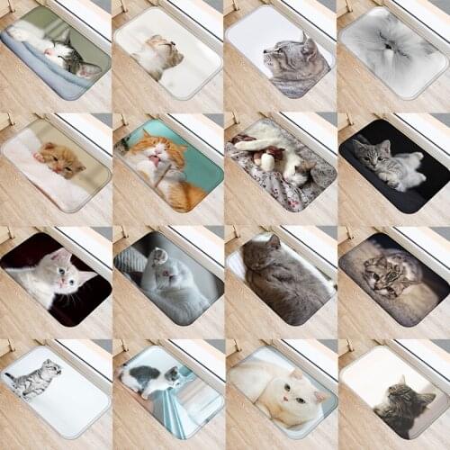 Doormat For Entrance Door Funny Cat Printed Anti-slip Home Decor Coral Fleece Rug For Living Room Bath Mats Carpet 48237