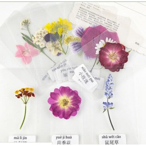 30pcs,Natural Pressed flowers with Plastic sealed,Real Dried Flower for DIY Bookmark Valentines Gift Easter Decoration,kids toys
