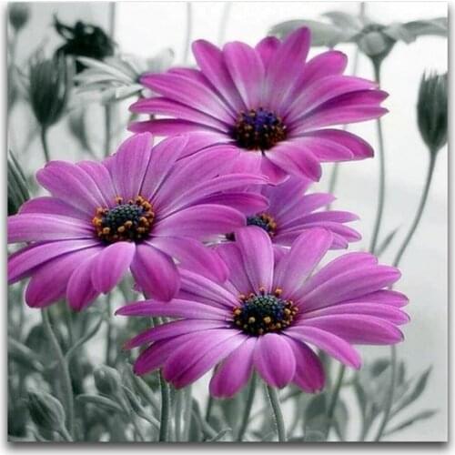 Colored Flowers DIY Cross Stitch 11CT Embroidery Kits Craft Needlework Set Cotton Thread Printed Canvas Home Room