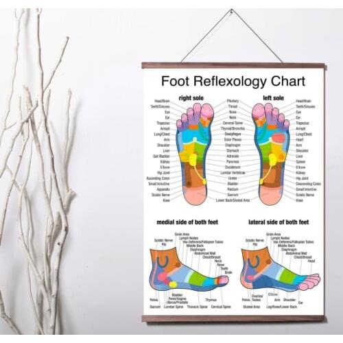 Reflexology Labeled Medial Lateral Foot Chart Holistic Health Canvas poster decoration painting with solid wood hanging scroll
