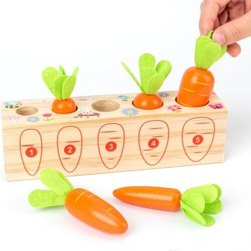 Montessori Wooden Toy Fun Digital Insert Carrot Game Hand-eye Coordination Math Board Game Educational Toys For Children Kids