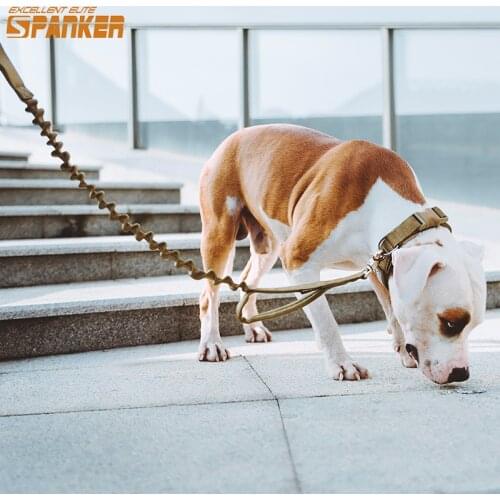 EXCELLENT ELITE SPANKER Leashes For Dogs