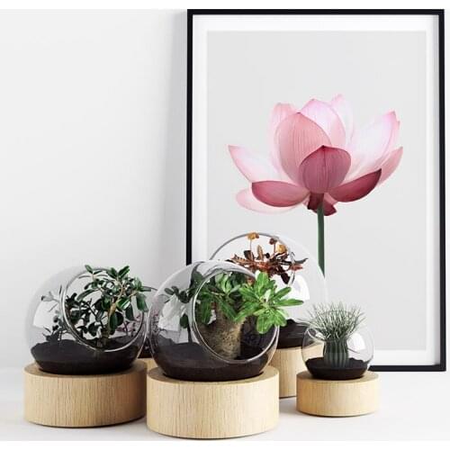 Roses Flowers Poster Prin Canvas Painting Photography Wall Art Pictures For Living Room Modern Home Decorative Prins On The Wall