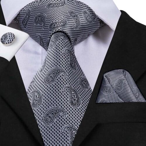 Hi-Tie Mens Necktie Silk Luxury Ties for Men Paisley Tie Grey Color Fashion Male Classic Wedding Business Neckties 8.5cm C-3049