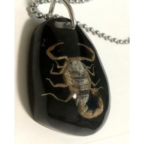 YQTDMY 12 pcs fashion real scorpion black back 70 CM stainless steel chain pendant