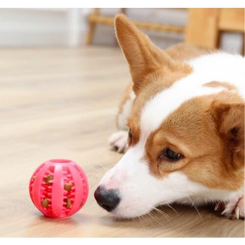 Pet Dog Chew Toys Soft Rubber Tooth Clean Brush dog Food Leaking Ball Interactive Elasticity Ball toys Small Big Dog cat Toys