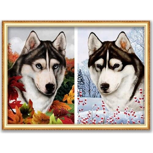 Animal Dog Husky DIY Embroidery Cross Stitch 11CT Kits Needlework Craft Set Printed Canvas Cotton Thread Home Decoration Room