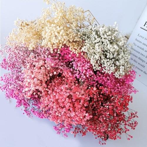 Natural Fresh Dried Preserved Flowers Gypsophila Paniculata,Babys Breath Flower Bouquets Home Wedding Decoration Props Photo