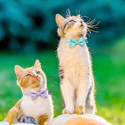4PCS Cat Collar Small Floral Cat Collar Safety Quick Release with Bell Cat Collar Adjustable Cat Collar with Bowtie