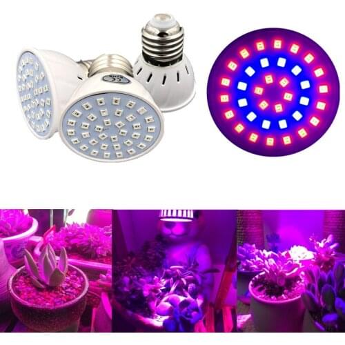 Фитолампы для растений BHomify China At AliExpress