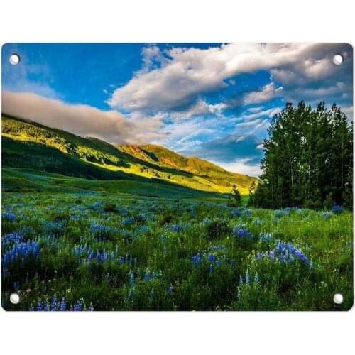 Flowers Personalized Metal Tin Sign Wall Plaque Art Poster Cafe Bar Pub Beer Club Wall Room Home Wall Decor 12 X 8 Inch