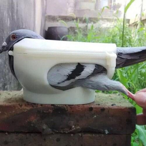 1Pc Racing Pigeon Holder For Injection Feeding Vaccination Bird Supplies Mount M8M5