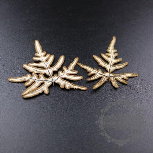 5-7cm white brown DIY dry pressed flower leaf pendant charm jewelry 1503184