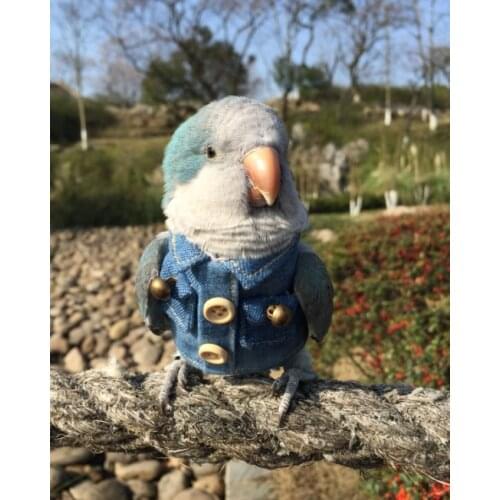 Coat clothing parrot clothing bird supplies autumn and winter thickened heating supplies flying suit pocket one-piece suit