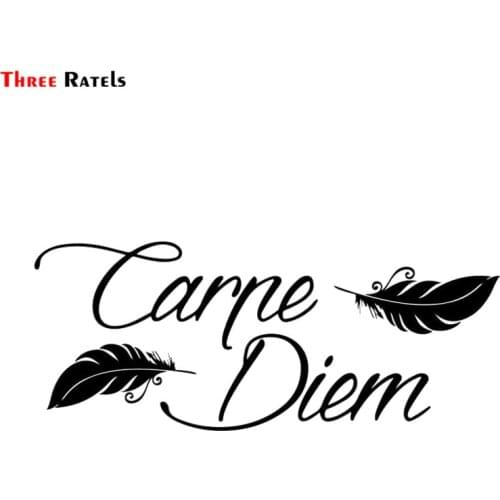 Three Ratels FTZ-103# Carpe Diem Stickers Vinyl Styling Art Sticker Creative Decal DIY Accessories Drop