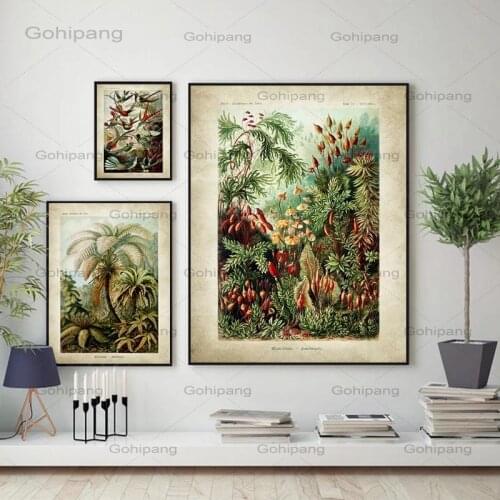 Vintage Ernst Haeckel Biology Canvas Painting Poster Hummingbird Palm Tree Animals Art Prints Plant Office Home Wall Art Decor