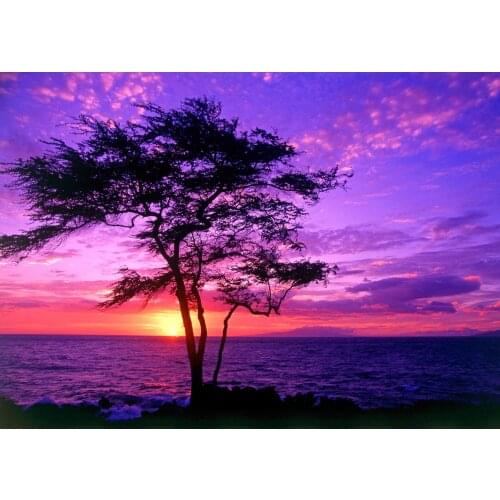 A2853 11CT/14CT/18CT/25CT/28CT night snowing patterns Counted Cross Stitch DIY Cross Stitch Kits Embroidery Needlework Sets