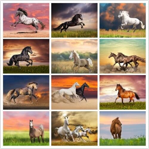 5d Diamond Painting Animal Horse Square/Round Cross Stitch Kit Mosaic Home Decoration Diamond Embroidery Poster