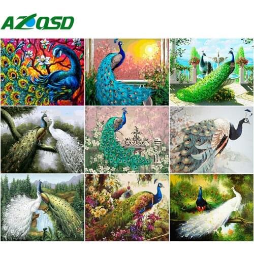 AZQSD Oil Painting By Numbers Peacock DIY Handpainted Gift 40x50cm Coloring By Numbers Animal Picture For Living Room Home Decor