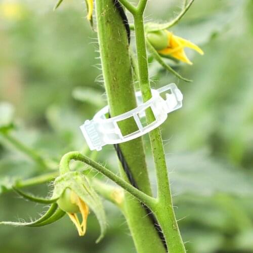 50/100Pcs Plastic Plant Clips Supports Connects Reusable Protection Grafting Fixing Tool Gardening Supplies for Vegetable Tomato
