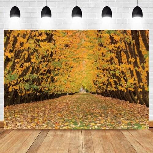 Laeacco Photo Backdrop Autumn Forest Yellow Maple Leaves Path Road Photozone Photography Background Photocall Photo Studio Prop