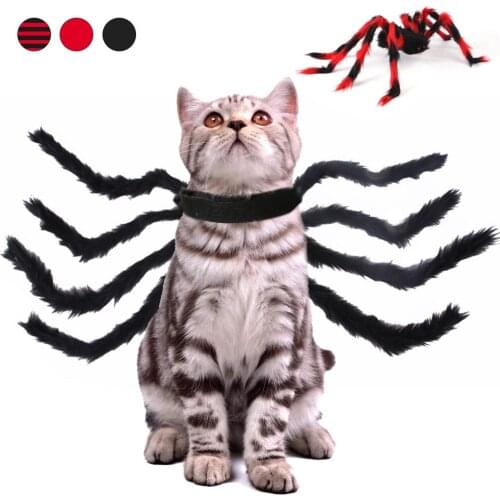 Cute Bat Wings For Pet Dog Cat Costumes Halloween Christmas Cosplay Clothing Funny Xmas Spider Dress Up Pet Accessories
