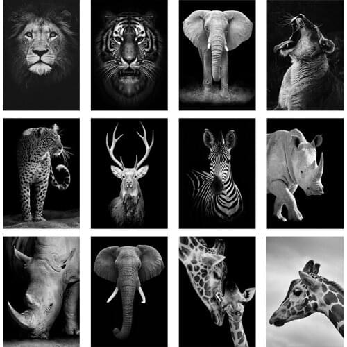 Black White Animal Wall Posters Print Rhinoceros Giraffe Zebra Lion Elephant Canvas Painting Wall Art Decorative Home Pictures