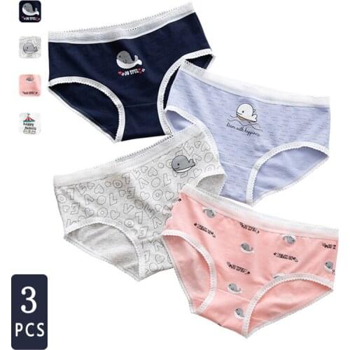 NORNS GIRL Womens Underwear Womens Cotton Crotch Plus Size Mid-waist Cotton Sexy Girls Seamless Briefs