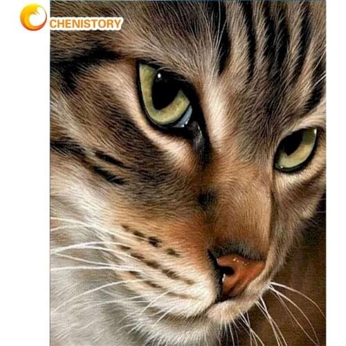 CHENISTORY Frame Cat Animal Painting By Numbers HandPainted Unique Diy Gift Modern Home Wall Decoration 60x75cm Acrylic Paints