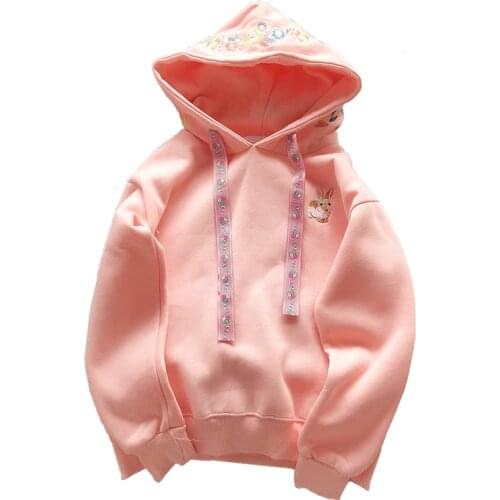 Winter Casual Fashion Women Hoodie Embroidery Flowers Little Rabbit Harajuku Sweatshirt Long Sleeves Plus Velvet Female Pullover